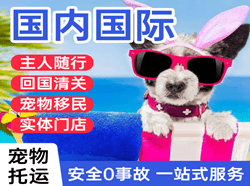 黄山机场快递国际宠物托运 【国